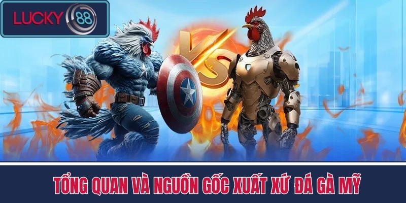 Đá Gà Mỹ - Cách Chọn Gà Hiệu Quả Từ Cược Thủ Nhà Cái LUCKY88 2 Tổng Quan và Nguồn Gốc Xuất Xứ Đá Gà Mỹ