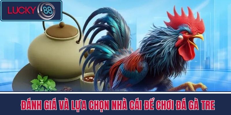 Đá Gà Tre - Trải Nghiệm Đá Gà Độc Lạ Tại Nhà Cái LUCKY88 4 Đánh giá và lựa chọn nhà cái để chơi đá gà tre