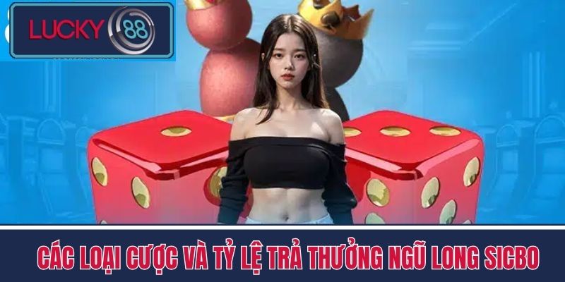Ngũ Long Sicbo - Đổ Xúc Xắc Ăn Tiền Tỷ Tại Nhà Cái LUCKY88 3 Các Loại Cược và Tỷ Lệ Trả Thưởng Ngũ Long Sicbo