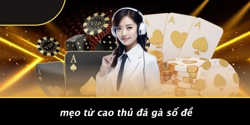 ĐÁ GÀ SỐ ĐỀ: BÍ MẬT ÍT AI BIẾT ĐỂ GẶT HÁI CHIẾN THẮNG 5 Mẹo Từ Cao Thủ Đá Gà Số Đề